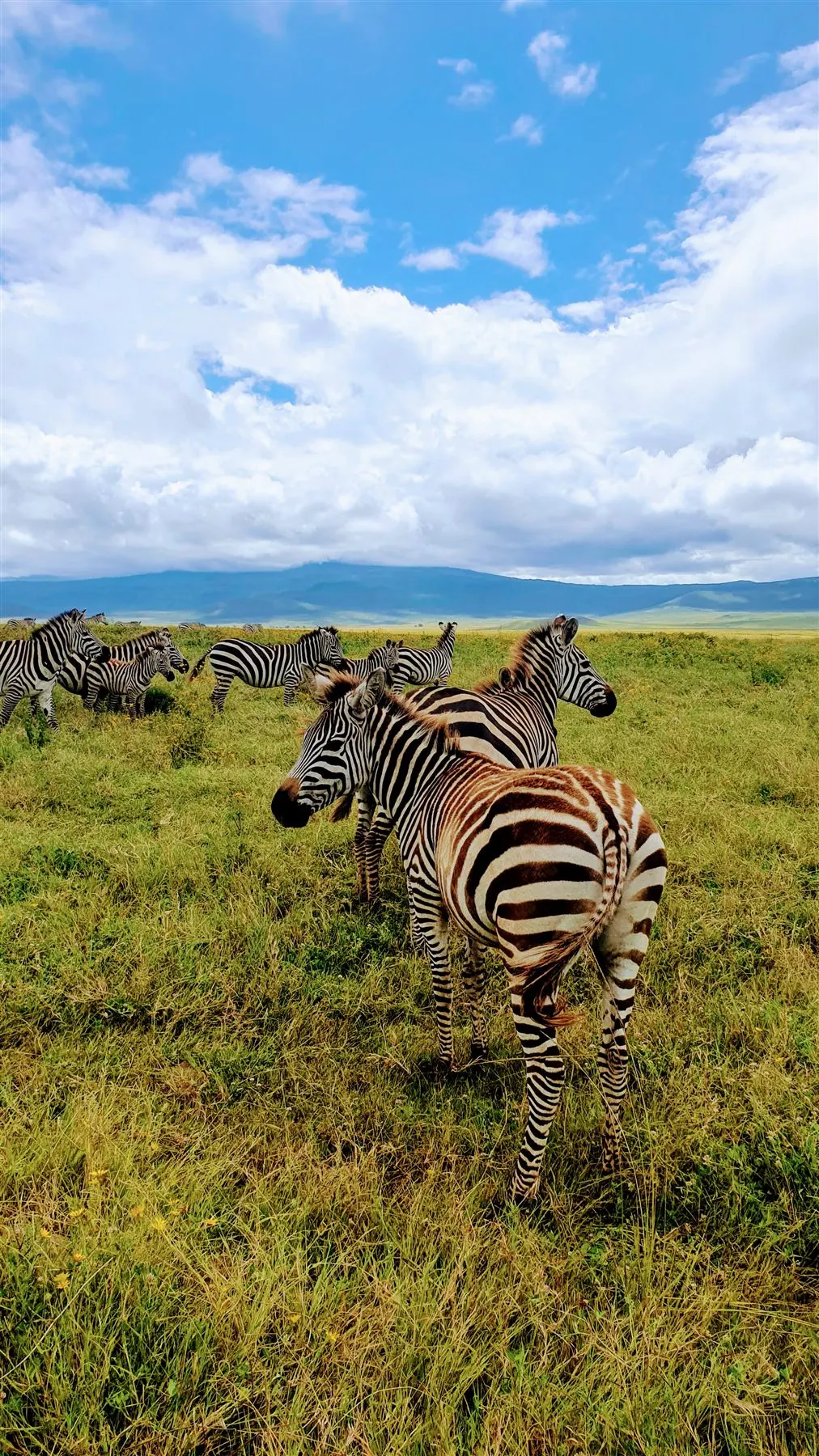 Ngorongoro Crater